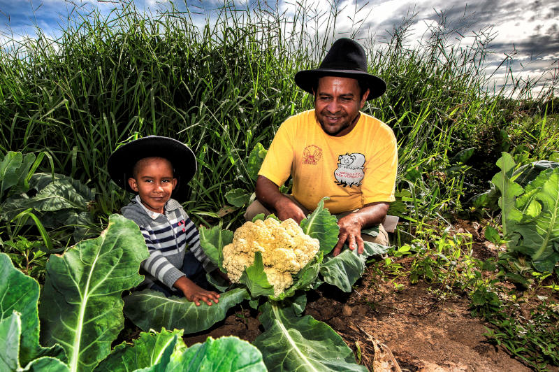 Com o Pronaf, mais de 1 milhão de famílias adquiriram crédito rural. | Foto: Sergio Amaral/MDS